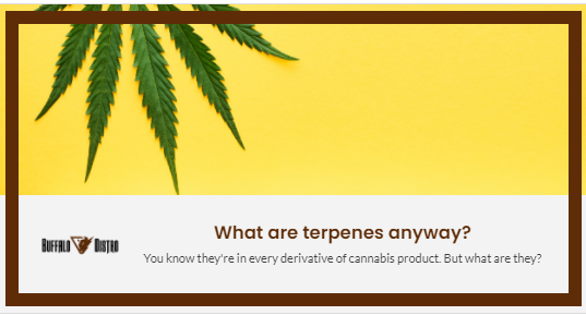 What are terpenes anyway?