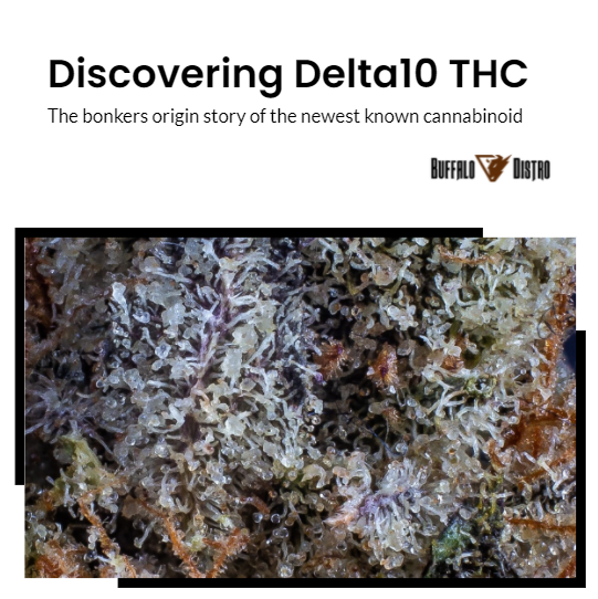 Discovering Delta 10 THC